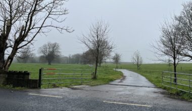 Arrest after man in his 70s dies following assault