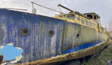 Collection of 'pre-loved' boats set for auction
