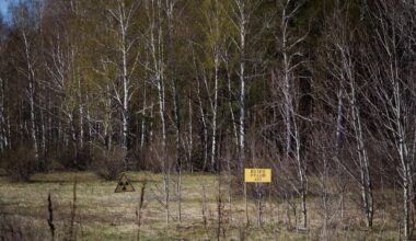 How wildlife & plants have returned to the area around Chornobyl