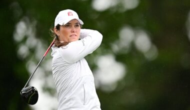 Donegan best of the Irish as Schmidt leads South African