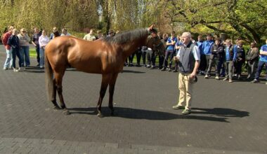 Students get the inside track on equine industry