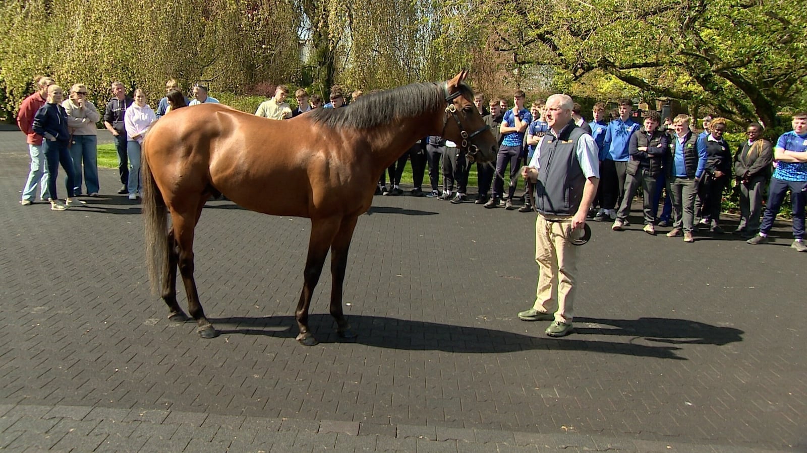 Students get the inside track on equine industry