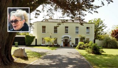 Finance firm takes case to repossess Twink's house