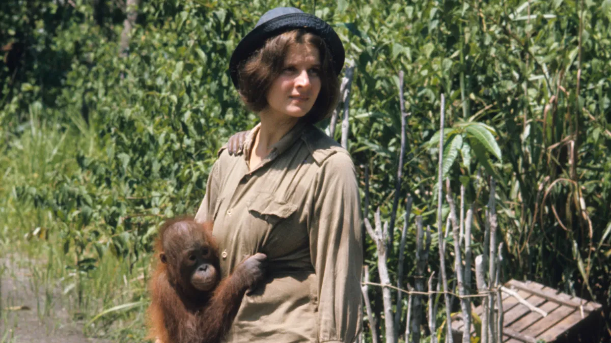 Biruté Galdikas obituary: orangutan expert and conservationist