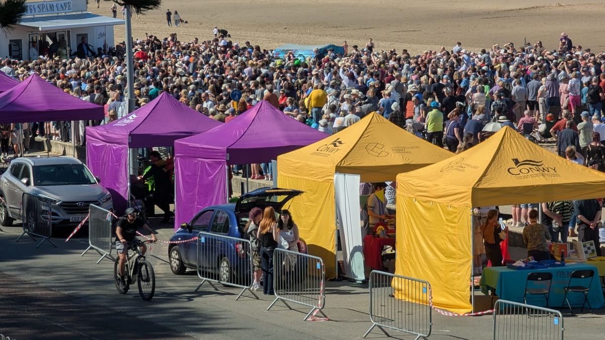Several hundred turned out at the beach in Colwyn Bay to watch the unveiling of the statue of Monthy Pythin star Terry Jones