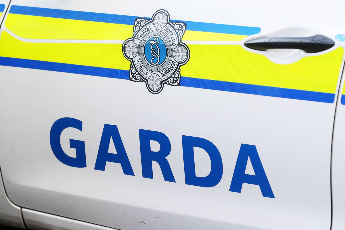 Garda (stock)