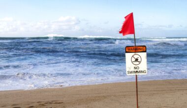 Hawaii beach water quality