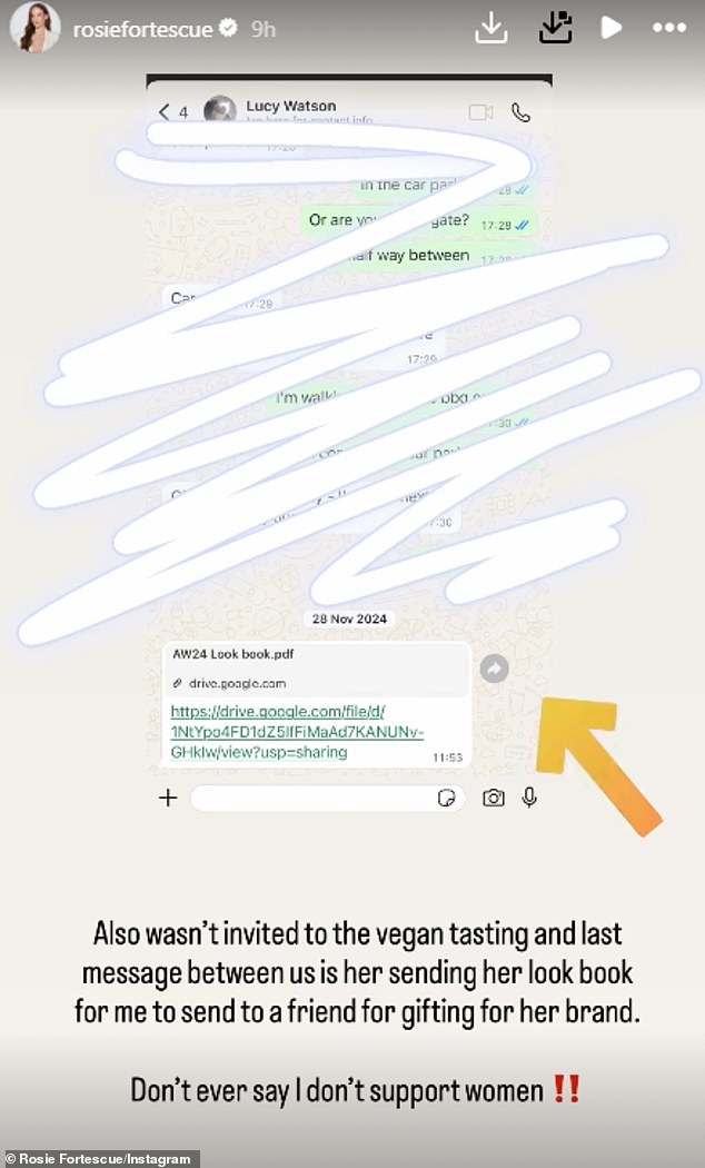 Rosie posted a screenshot of her last WhatsApp conversation with Lucy, where she received a 'look book' to send to her friend in November 2024