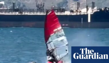 Unsuspecting windsurfer collides with gray whale in the San Francisco Bay | San Francisco