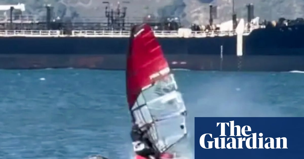 Unsuspecting windsurfer collides with gray whale in the San Francisco Bay | San Francisco
