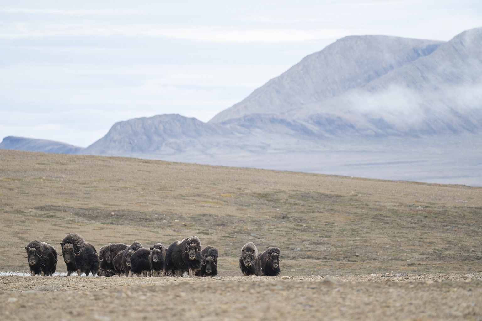 Image courtesy of McCaide Wooten.