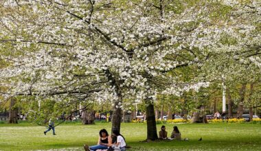 Pollen is here to stay as seasons get longer. Here’s how to protect yourself
