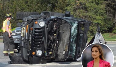 Dianna Russini mounts daring rescue of elderly man, dog