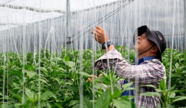 a One Health agenda for action and accountability