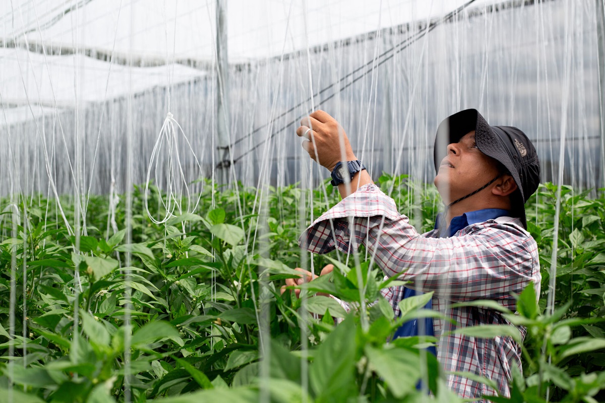 a One Health agenda for action and accountability