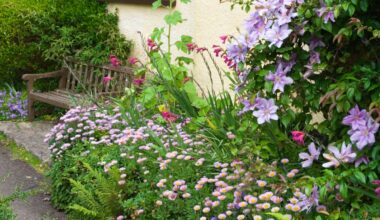 How to create a stunning cottage garden in the smallest of spaces