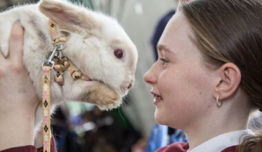 Wicklow school’s transition year Easter fair raises more than €1,200 for Enable Ireland