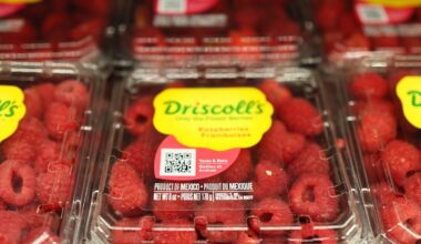 One fruit could be the first grocery item to soar as the Iran war sends diesel soaring