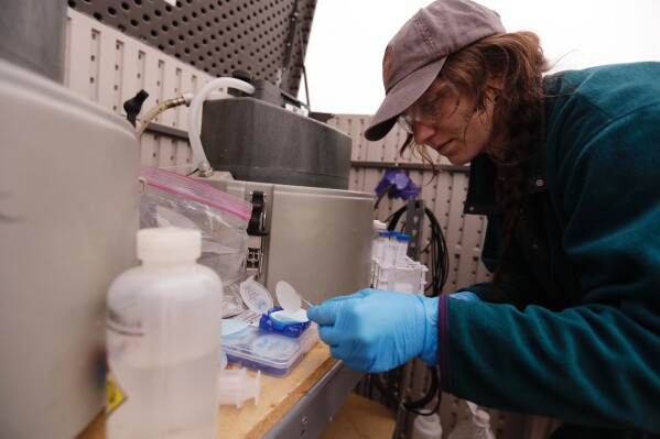 University of Vermont graduate student Delaney Bullock gathers runoff samples from two agricultural fields to be analyzed for nutrient concentrations on Thursday, March 12, 2026, in Bridport, Vt. (AP Photo/Amanda Swinhart)