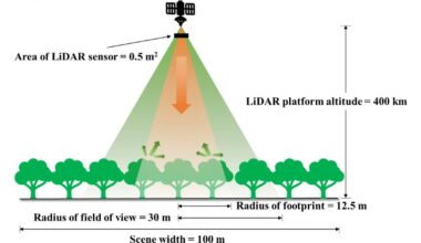 Sharper forest insights from spaceborne LiDAR