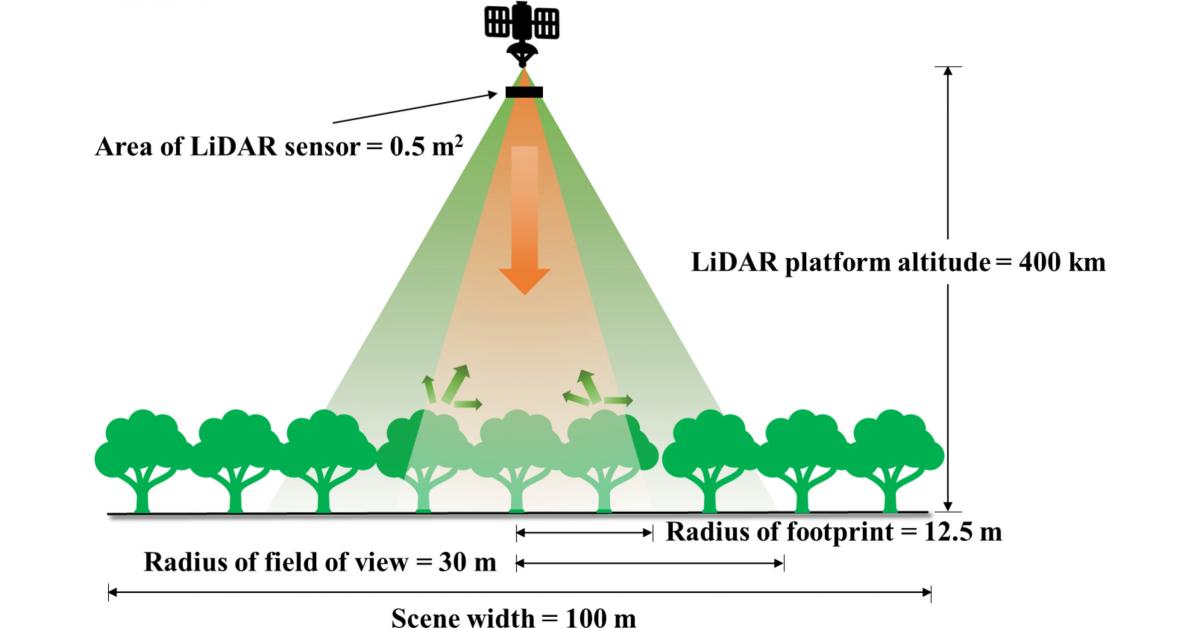 Sharper forest insights from spaceborne LiDAR
