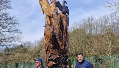 New wooden sculpture unveiled along banks of Wexford river – ‘A symbol of rebirth after flooding’