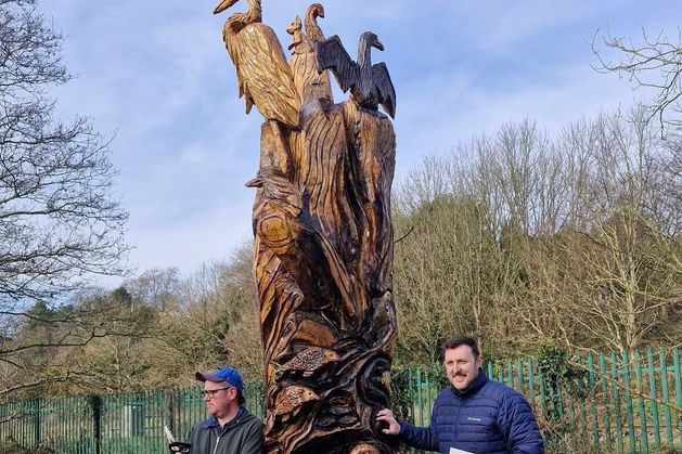New wooden sculpture unveiled along banks of Wexford river – ‘A symbol of rebirth after flooding’