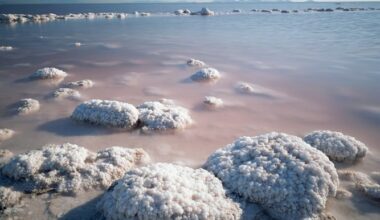 “It’s so dry that NASA has used parts of it to test Mars rovers.” 6 extreme places on Earth where you can still find life