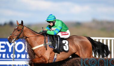 ‘Progressive’ The Jukebox Kid going for Irish National gold