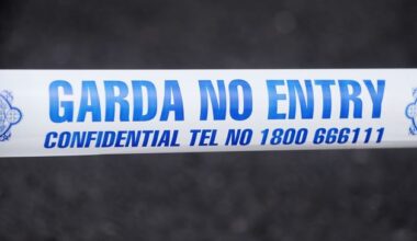 Woman (80s) dies after being hit by bus in south Dublin