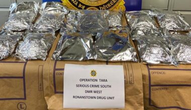 Man (20s) arrested as gardaí seize drugs worth €830,000 in Dublin