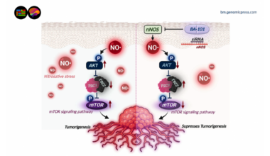 New research identifies enzyme driving neuroblastoma and shows inhibitor collapsed tumor growth in mice