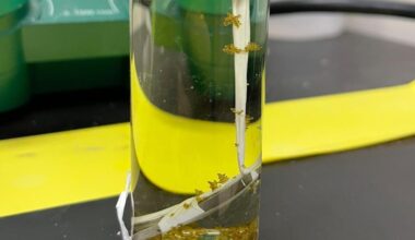 How to choose reactor materials and test for compatibility | Business