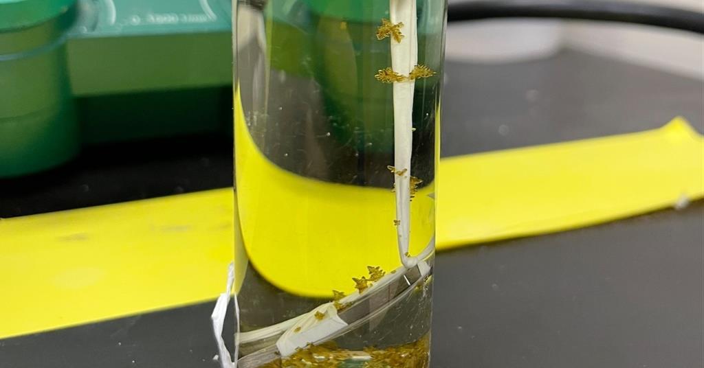 How to choose reactor materials and test for compatibility | Business