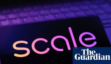 Porn, dog poo and social media snaps: the ‘taskers’ scraping the internet for Meta-owned AI firm | AI (artificial intelligence)
