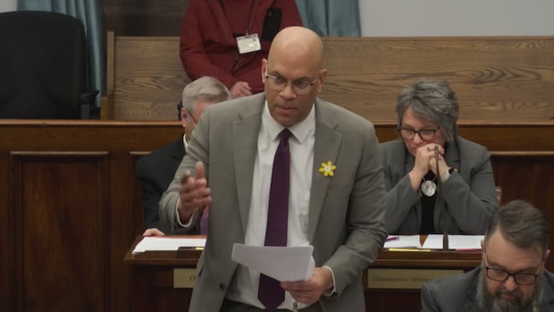 Opposition questions P.E.I. health minister on patient registry, loss of another doctor