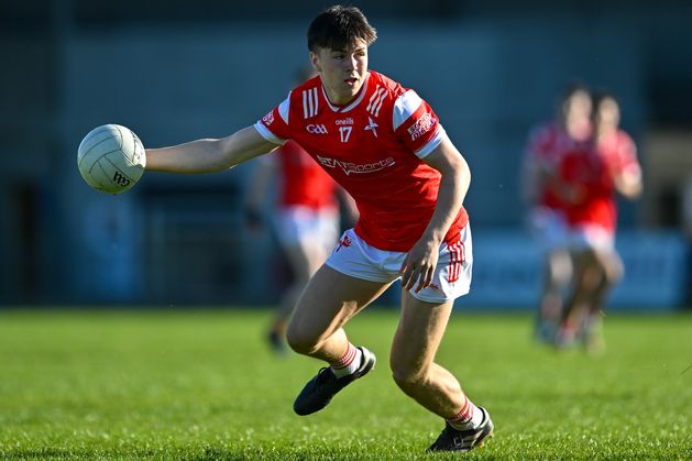 Second-string Louth still too strong for Wexford