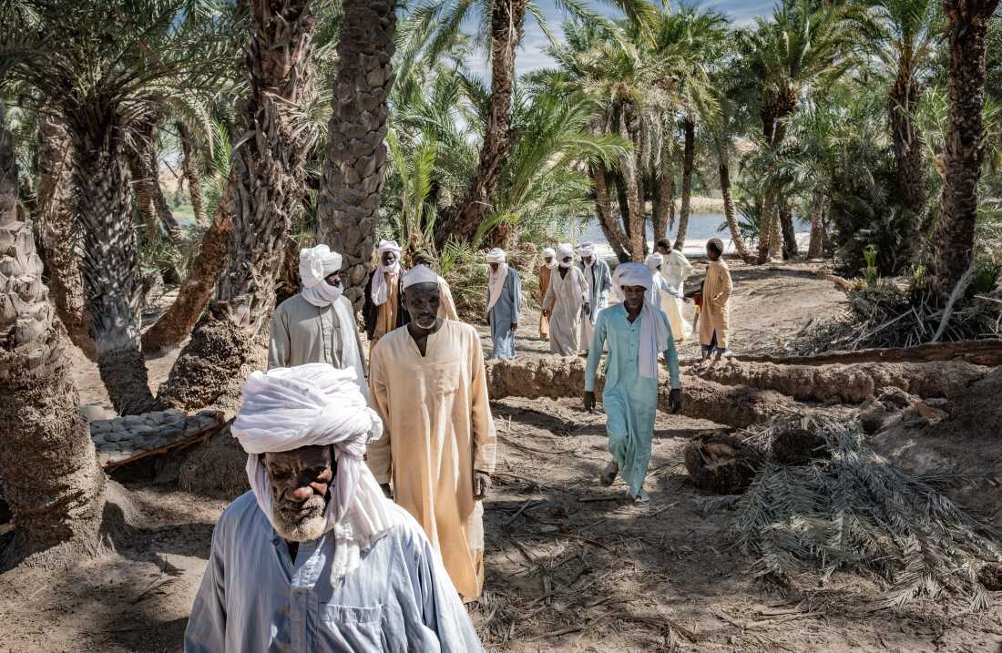 Village chief Issa Ousmane Tcharaba, walks with village elders through the oasis of Barkadroussou in Kanem province, Chad. The oasis has benefitted from support by the NGO SOS Sahel, as part of its broad efforts to bolster the Great Green Wall Initiative. SOS Sahel helped farmers to stabilise the dunes that threaten to swamp the oasis, as well as installing a borehole and providing seeds and technical assistance.