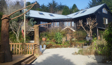 Three woodland lodges bringing you closer to nature