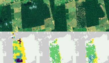 Faster Detection of Forest Loss