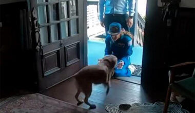 Astronaut Christina Koch's emotional reunion with her dog has us in tears