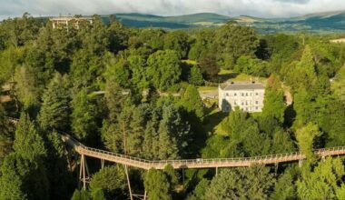 Appeal against Beyond the Trees Avondale’s new feature was made on invalid grounds