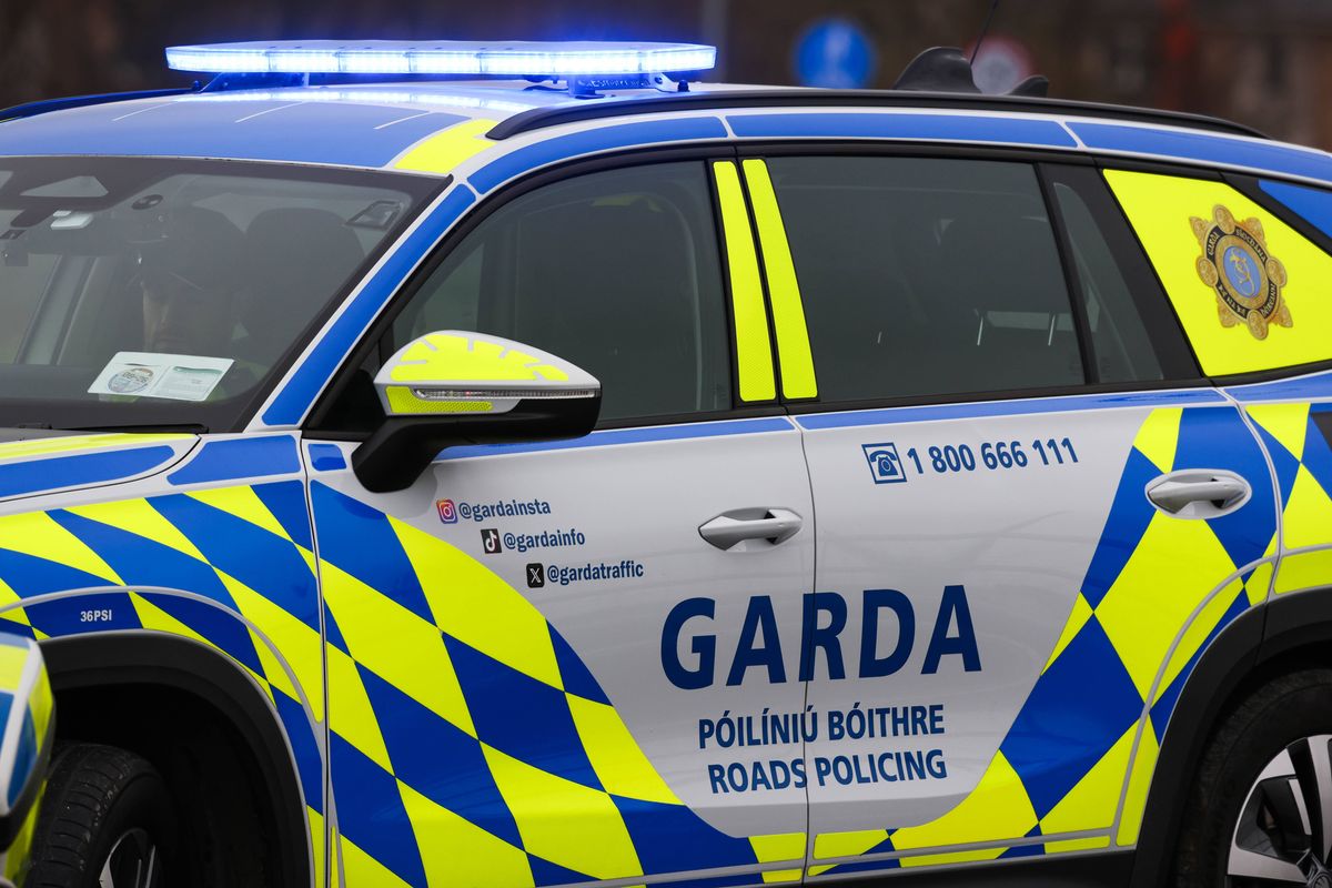 Garda (stock)