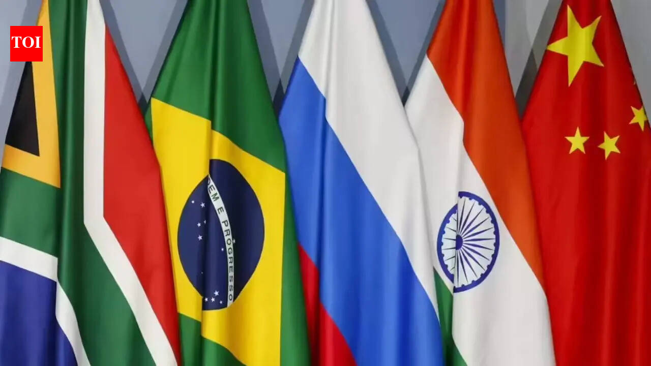 India flags mental health, lifestyle diseases as new BRICS priorities | India News