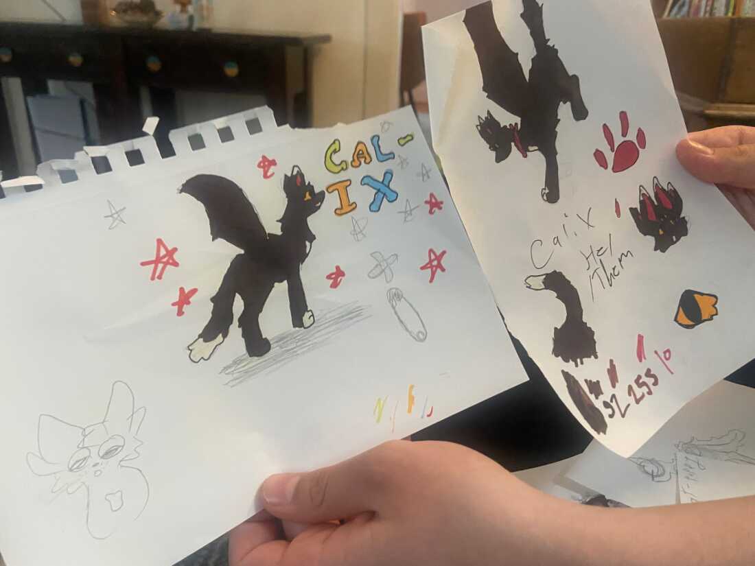 Bug shares some of his drawings. He had been about to start taking testosterone at Baystate hospital in Springfield, Mass., right before the hospital announced it was stopping gender-affirming care for minors.