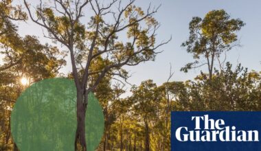 ‘The environmental movement needs many hands’: saving Australia’s biodiversity is getting personal | Conservation