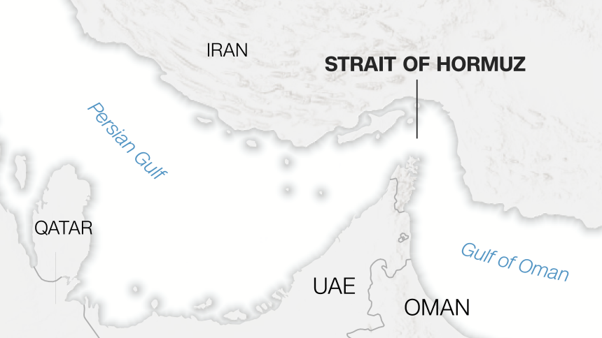 Migratory whale sharks pass through the strait seasonally as Indo-Pacific humpback dolphins and Indo-Pacific bottlenose dolphins live along the Musandam Peninsula in northern Oman. Offshore islands between Iran and the UAE are nesting sites for green and hawksbill sea turtles.