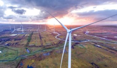 ‘This could be groundbreaking for Ireland Inc and the midlands’ – New research reveals transformative potential of ‘energy parks’