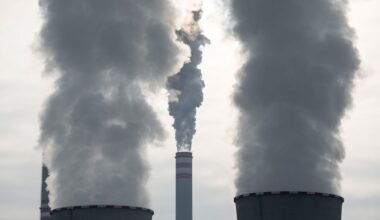 EU Backs Centralized Buying of Imported Carbon Credits for 2030 Climate Goals
