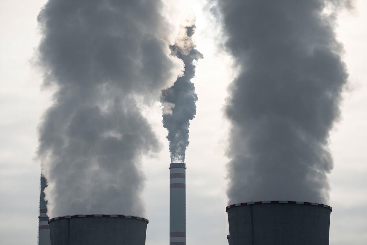 EU Backs Centralized Buying of Imported Carbon Credits for 2030 Climate Goals